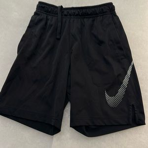 Nike Dri Fit Shorts Sz S